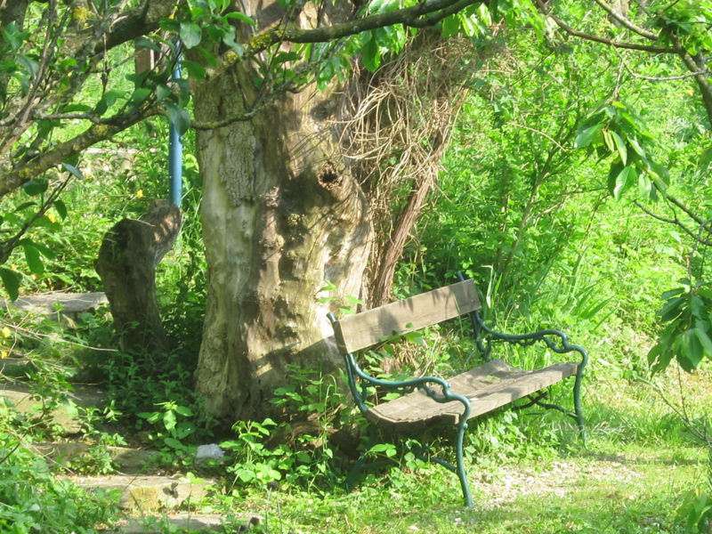 Datei:SG Südgartenbank1.jpg