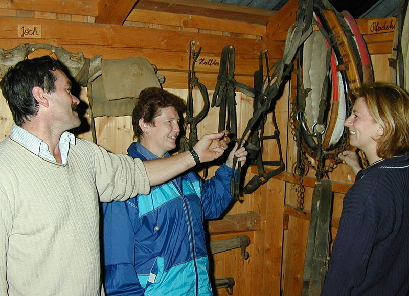 Datei:Bergbauern Museum.jpg