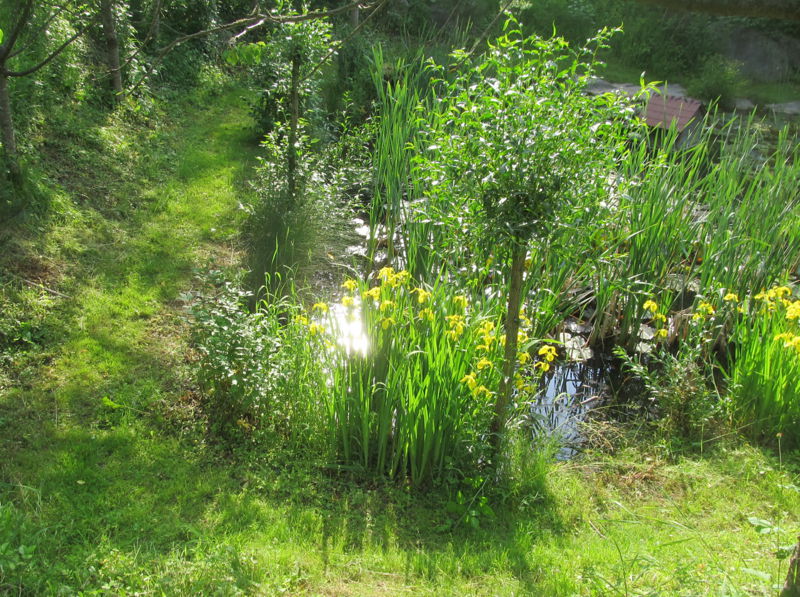 Datei:SG Südgarten Biotopweg.jpg