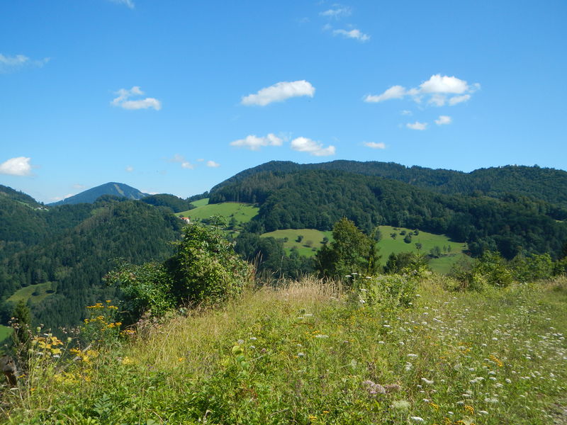 Datei:SD Panorama1.JPG