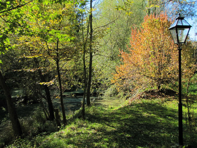 Datei:ST Teichweg Herbst Dirndlstaude.jpg