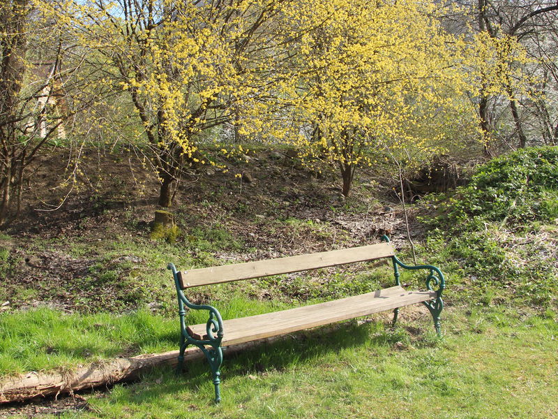Datei:SG Bank Dirndlblüte Teichweg.JPG
