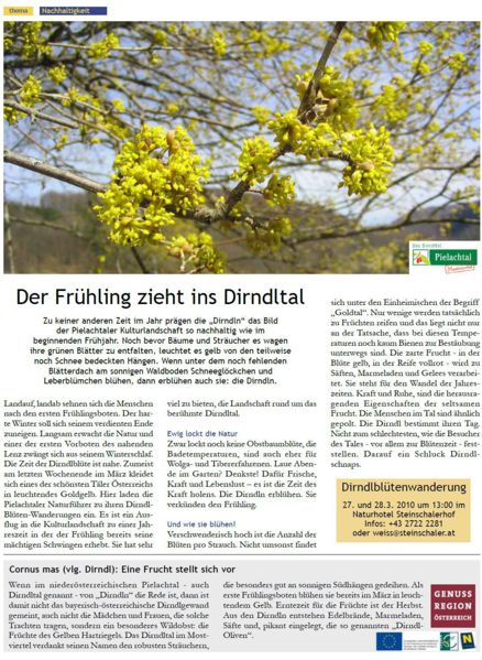 Datei:Wissensbasis Newsletter Maerz 2010.jpg