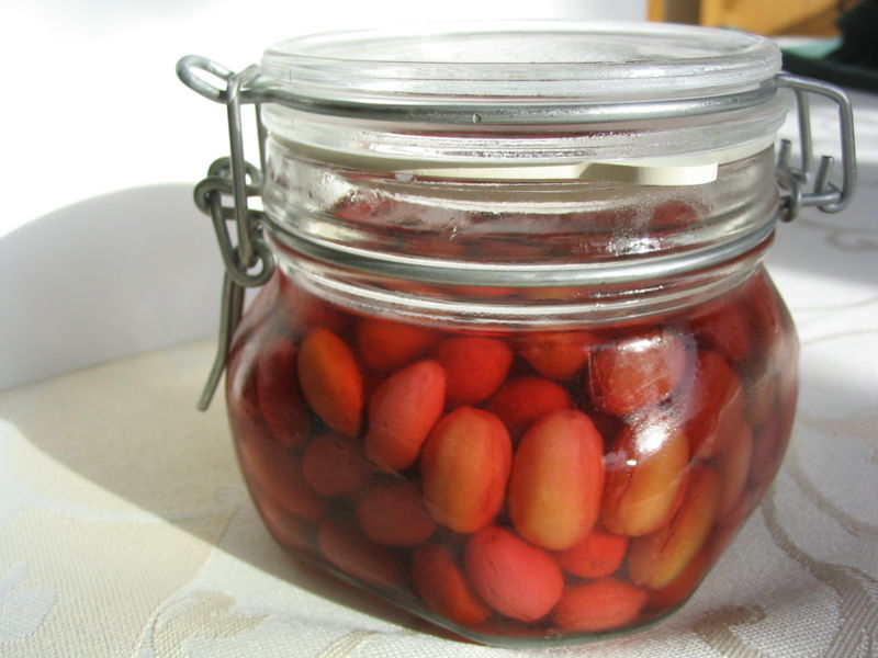 Datei:Dirndloliven 1.JPG