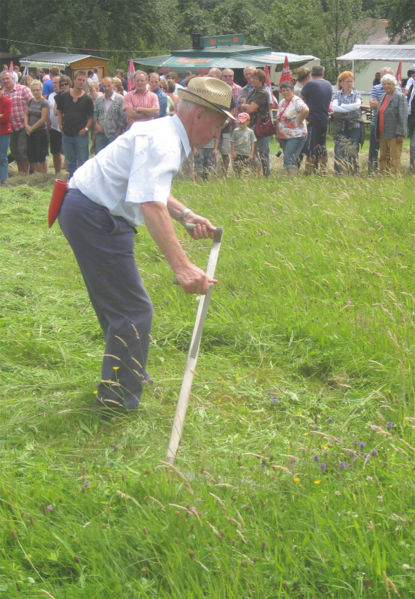 Datei:Heufest Mähen mit Sense2.jpg