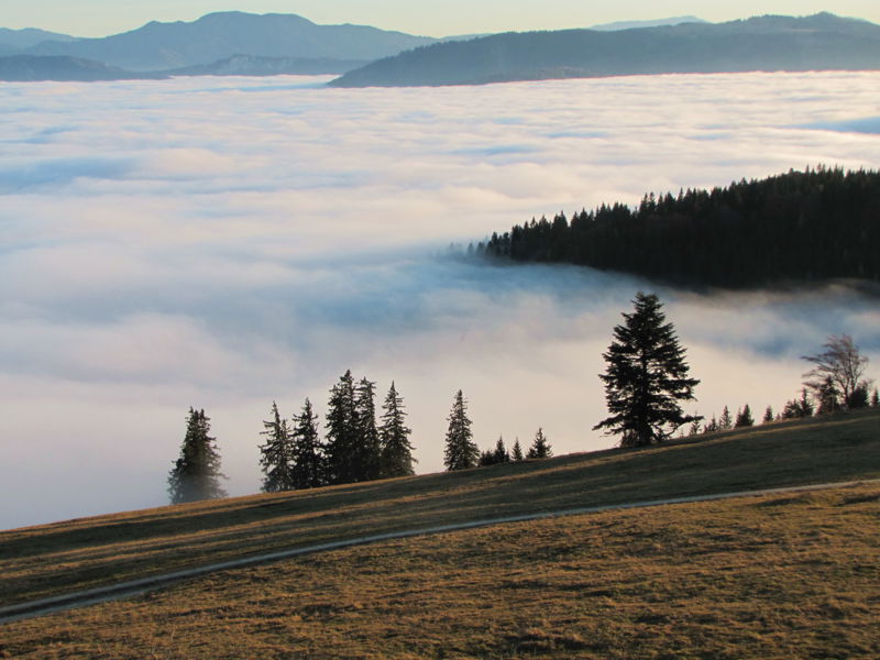 Datei:Nebelmeer vom Eisenstein1.jpg