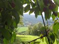 Vorschaubild der Version vom 13. September 2012, 15:50 Uhr