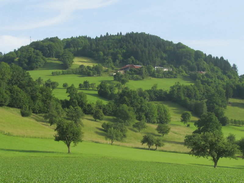 Datei:Fronberg Frühjahr8.jpg