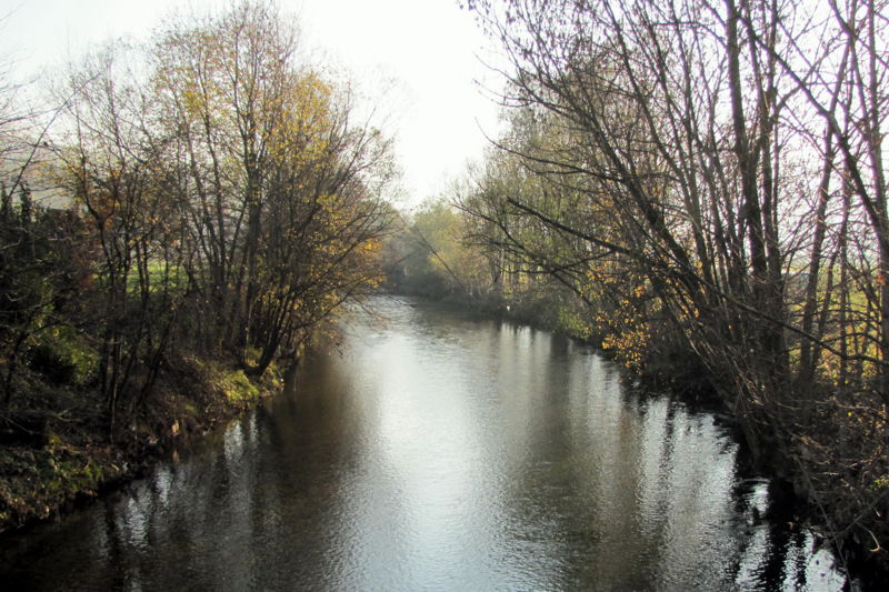 Datei:Herbstliche Pielach - Königbrücke.jpg