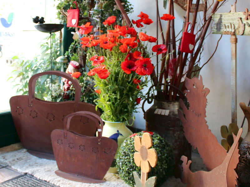 Datei:SH Eingang Mohn.jpg
