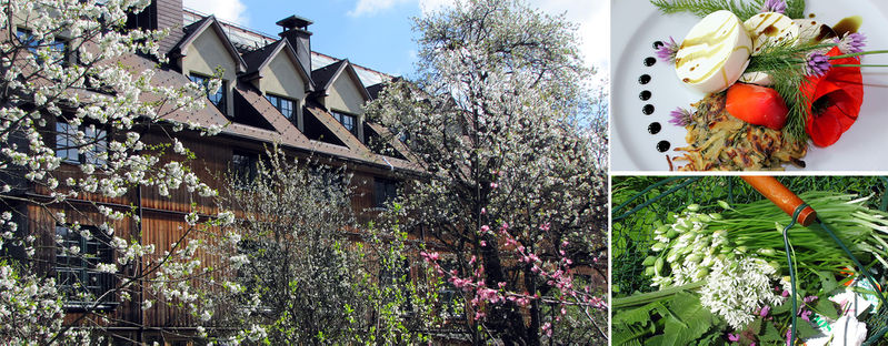 Datei:Frühling - Header 2000px.jpg