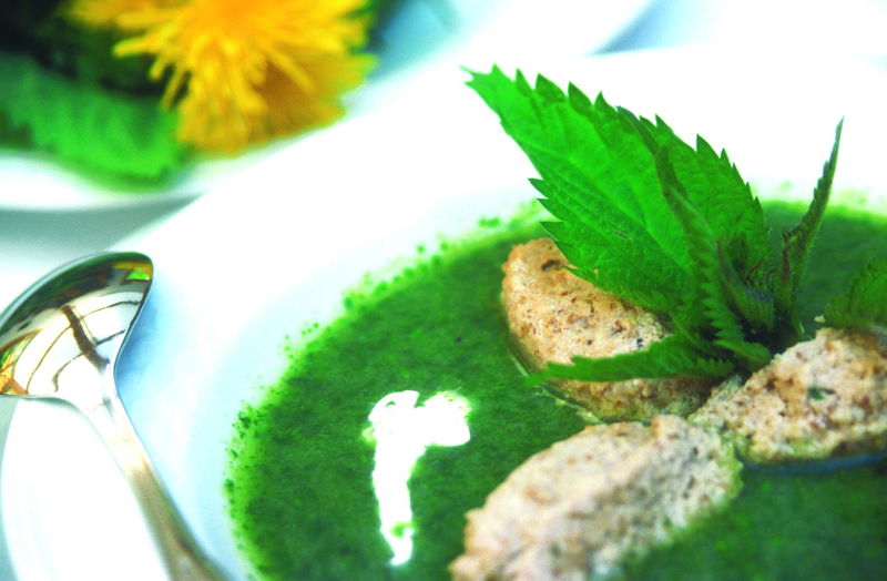 Datei:Brennesselsuppe KFritz.jpg