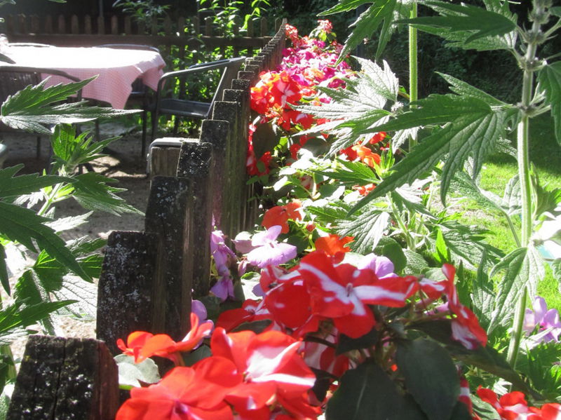 Datei:SH Terrassenzaum1.jpg