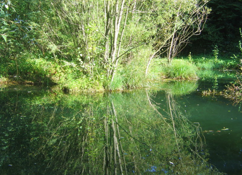 Datei:ST Spiegelung1.jpg