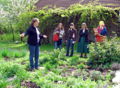 CSR Interne Schulung-Garten 2011.jpg