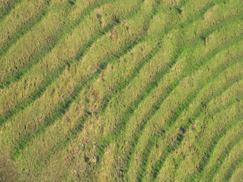 Datei:Viehwege Detail.jpg