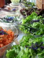 SH-Salatbuffet Mai2.jpg