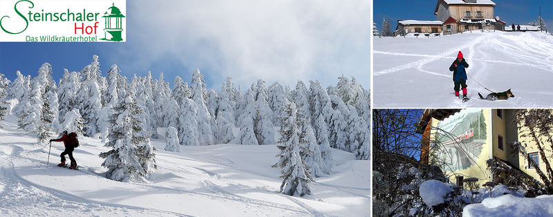 Datei:Schneeschuhwandern - Header 1800px.jpg