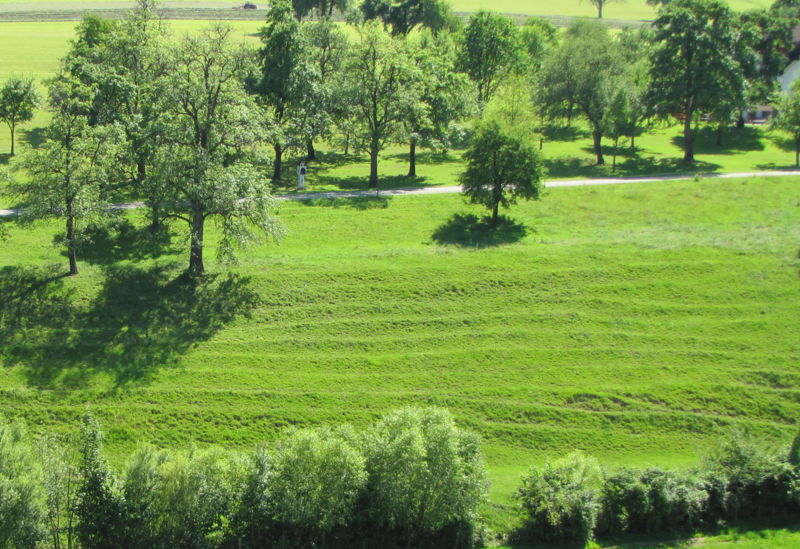 Datei:KL Braunsteiner Viehsteige.jpg