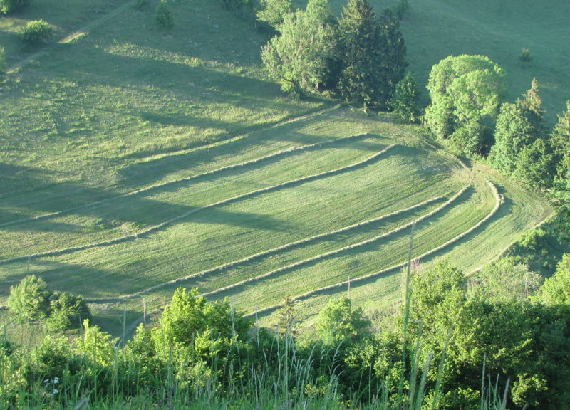 Datei:Heumahd 2011.jpg