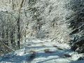 Vorschaubild der Version vom 21. Januar 2017, 10:36 Uhr