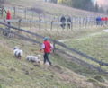 Vorschaubild der Version vom 29. September 2010, 15:30 Uhr