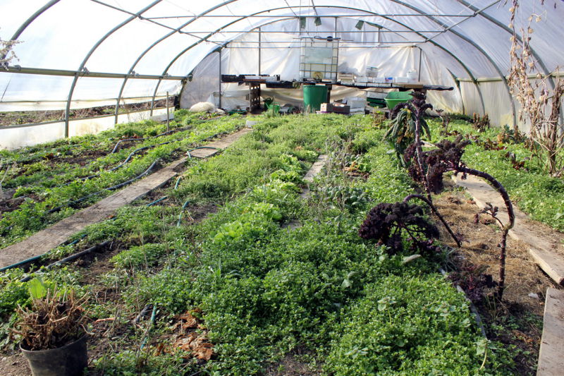 Datei:SG FT März 2013.jpg