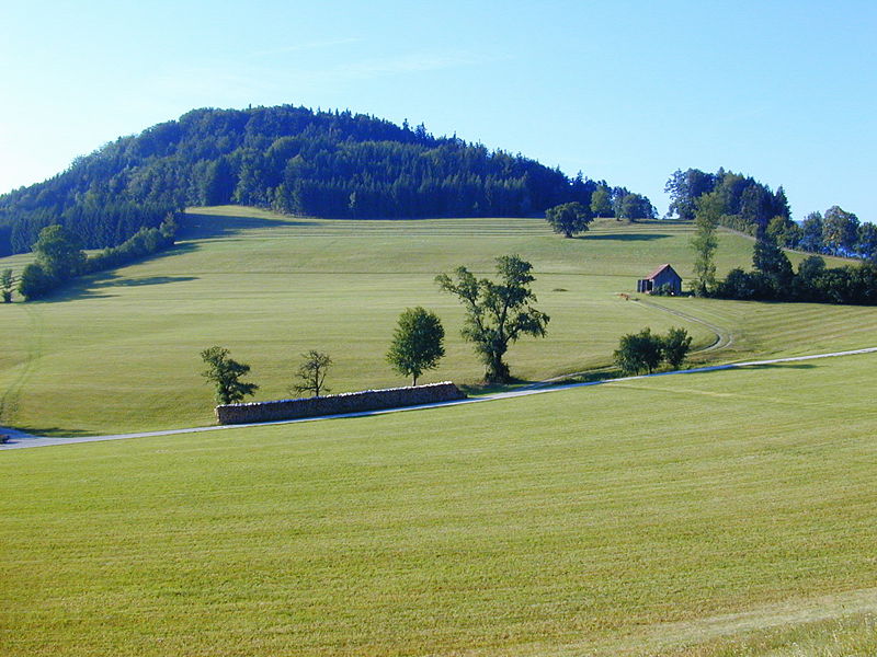 Datei:Himmelwiese.jpg