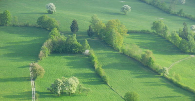 Datei:KL Kulturlandschaft in Tradigist.jpg