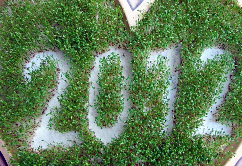 Datei:SK Kresse 2012.jpg