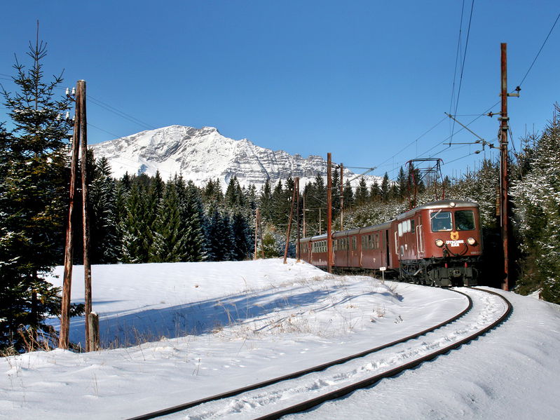 Datei:Ötscherbär erlaufklause (c)prokop.jpg