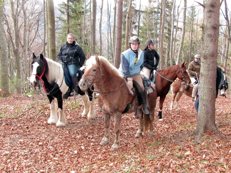 Datei:EST Johana Ritt2012.jpg