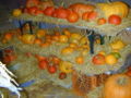 Vorschaubild der Version vom 25. Januar 2009, 13:52 Uhr