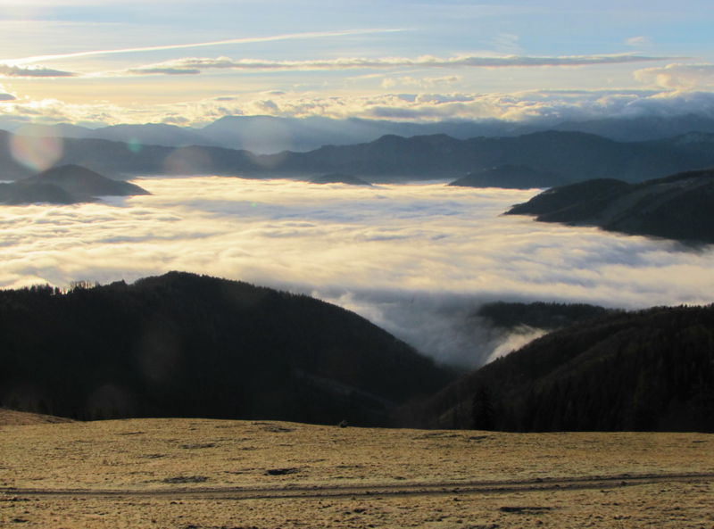 Datei:EST Talnebel Traisental.jpg