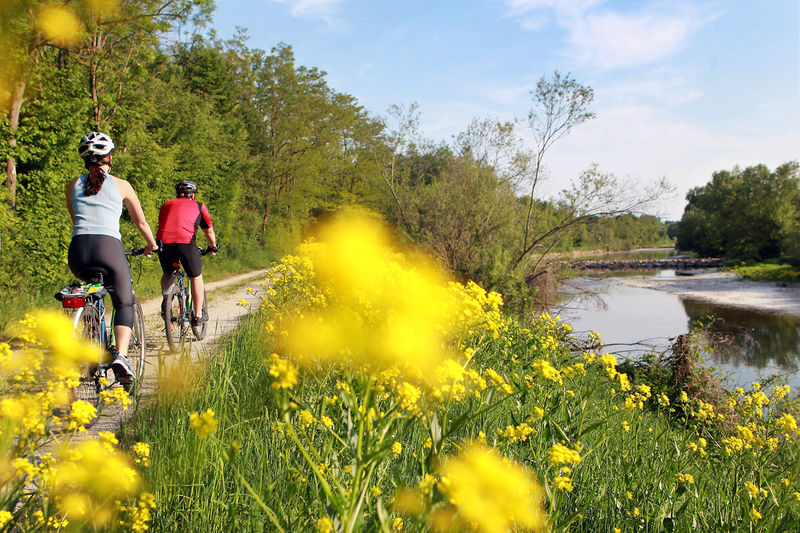 Datei:Traisentalradweg Weinfranz.jpg