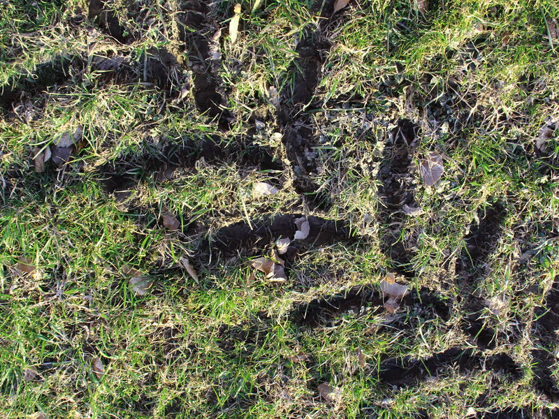 Datei:Schweres Spur7.jpg