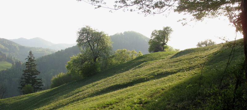 Datei:Frühjahrsidyll6.jpg